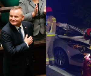 Poseł PiS uległ strasznemu wypadkowi! W jego auto uderzył łoś