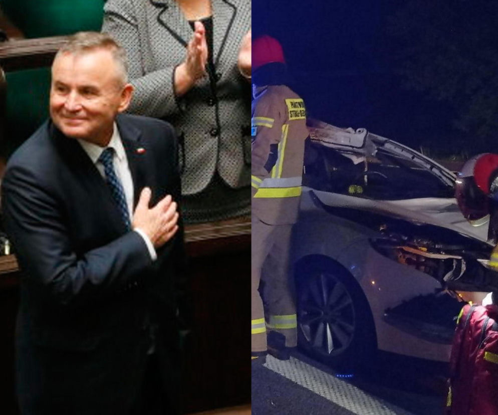 Poseł PiS uległ strasznemu wypadkowi! W jego auto uderzył łoś