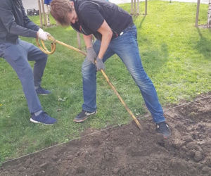 Mieszkańcy sami zazielenili sobie beton na Dąbrowskiego