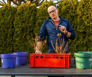 Murator Ogroduje, realizacje