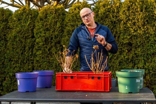 Murator Ogroduje, realizacje