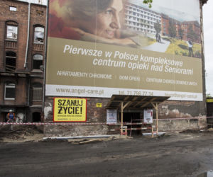 Angel Care, strefa wejściowa