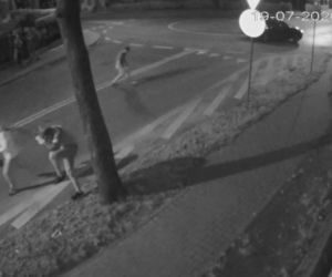 Bójka na środku ulicy w Zabrzu. W ruch poszły pięści, pałki i kije [WIDEO]