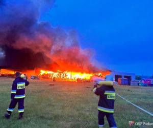 Pożar składowiska odpadów w Promniku (gm. Strawczyn)