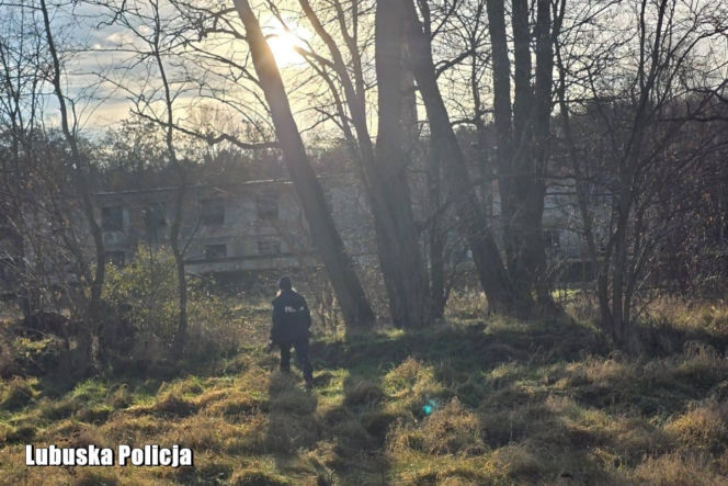 Poszukiwania Gabriela Nowaka