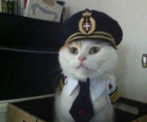 Śląsk airlines