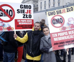 Nie dla GMO, DODA