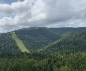 Ścieżka w koronach drzew Krynica Słotwiny