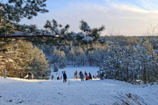 To najciekawsze miejsca w Podlaskiem na jednodniowy wyjazd podczas ferii zimowych. Wskazała je AI!