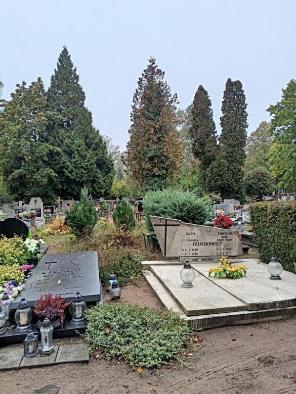 Cmentarz Junikowo Poznań
