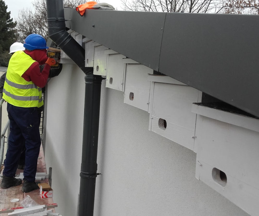 Rzeszów: Kolejne budki dla jerzyków. Pomogą w walce z komarami