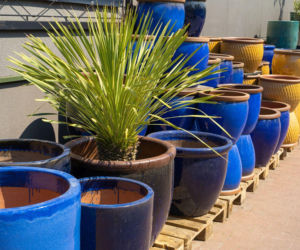 Od betonu po drewniane modele – donice, które zdefiniują twój taras w 2026. Ile kosztują w marcu?