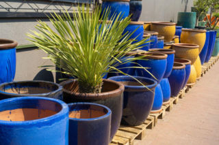 Od betonu po drewniane modele – donice, które zdefiniują twój taras w 2026. Ile kosztują w marcu?