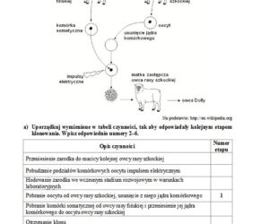 Matura 2013 biologia p. podstawowy