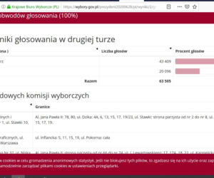 Jak głosowali mieszkańcy Warszawy? Kto wygrał w Mazowieckim? [DANE PKW]