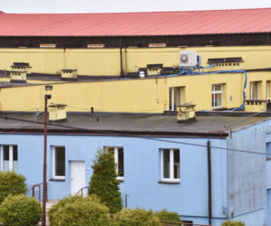 Suwałki. 30 nowych budek dla jerzyków pojawiło się na terenie miasta [ZDJĘCIA]