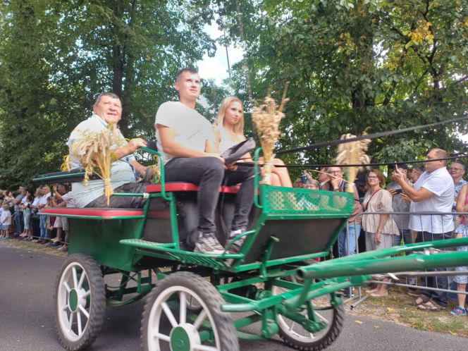 Święcenie zwierząt u św. Rocha 2026