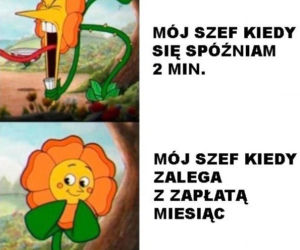 Memy o pracy
