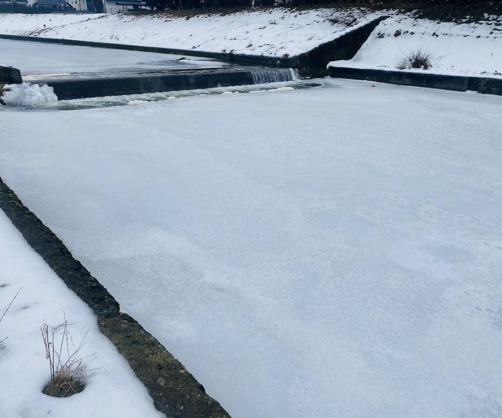 Omijajmy zamarznięte rzeki i jeziora! Lód jest kruchy i może się załamać 