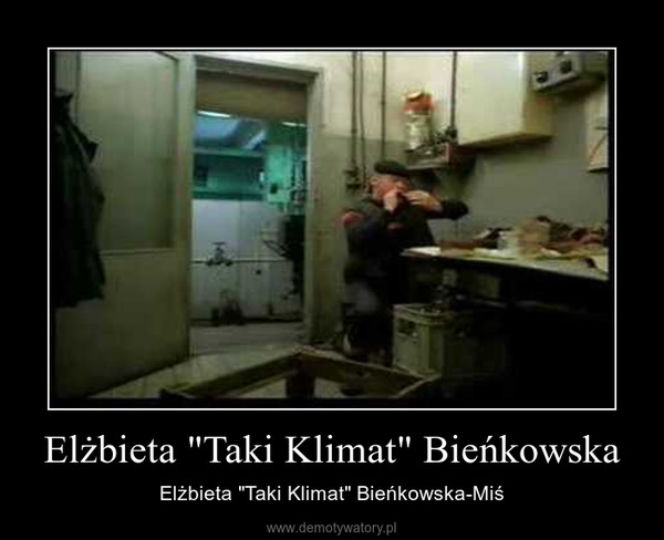 Memy Elżbieta Bieńkowska