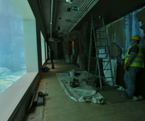 Afrykarium we Wrocławiu. Rekiny 