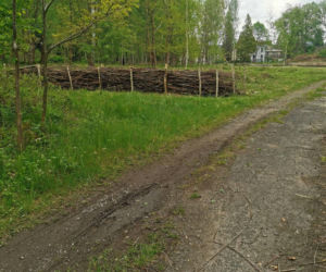 Wigancice Żytawskie