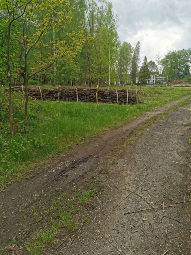 Wigancice Żytawskie