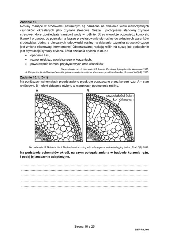 Matura 2021: Biologia. Arkusze CKE z biologii znajdziesz tutaj [Matura 12.05.2021]