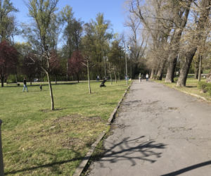 Katowice: Tłumy w Parku Kościuszki. Mieszkańcy ruszyli na spacery