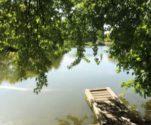 Plaże w Warszawie