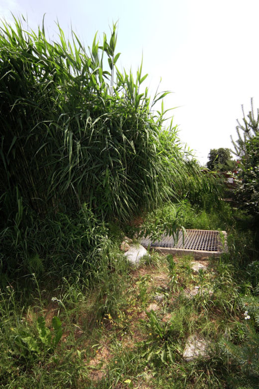 Oczyszczalnia hydrofitowa