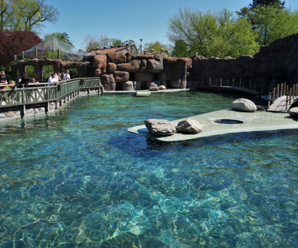 ZOO Opole