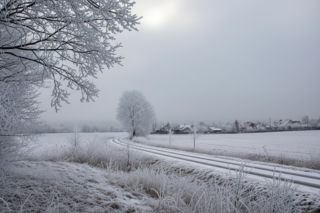 Wyszedł na spacer z psem, w polu znalazł nieprzytomną kobietę. Nie daje oznak życia