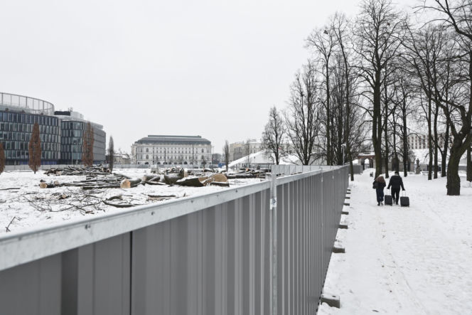 Rzeź drzew w parku w centrum Warszawy. Przygnębiający widok przed odbudową Pałacu Saskiego