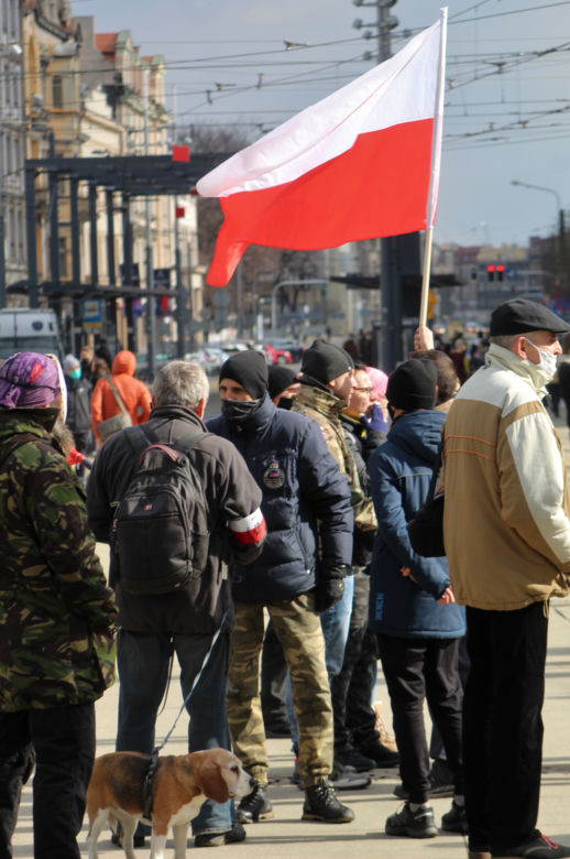 Marsz o wolność w Katowicach. Tak wyglądał liczny protest antycovidowców 