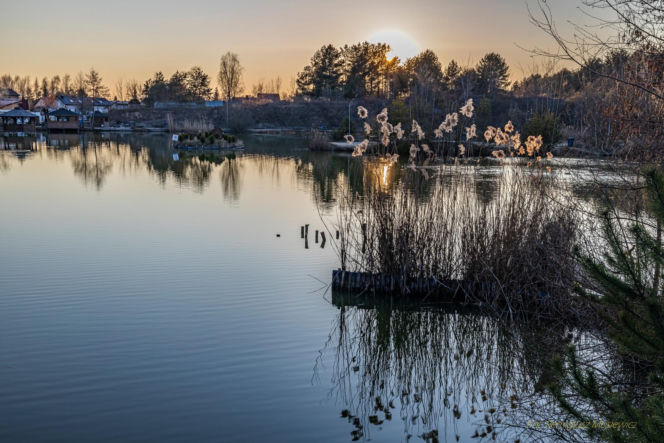 Gdzie na ryby w świętokrzyskim? Zbiornik Bilówka to coś więcej niż wędkarstwo