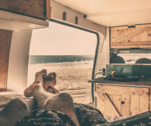 Garmin Camper Van