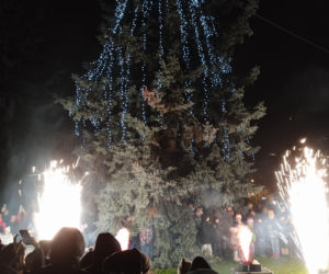 Siedleckie iluminacje 2025