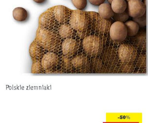 Ziemniaki za 0.80 zł, jabłka, 1, 80, mielone za 5 złoty. Szalone promocje w Lidlu