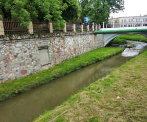 Sytuacja hydrologiczna w Tarnowie. Czy grozi nam powódź?
