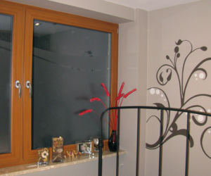 Zdjęcie 4367