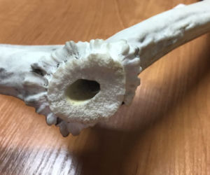 Kraków: spacerował w piżamie i palił z poroża renifera