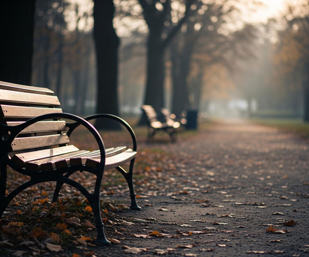 Zaginął Sebastian Kuźnick.jpg