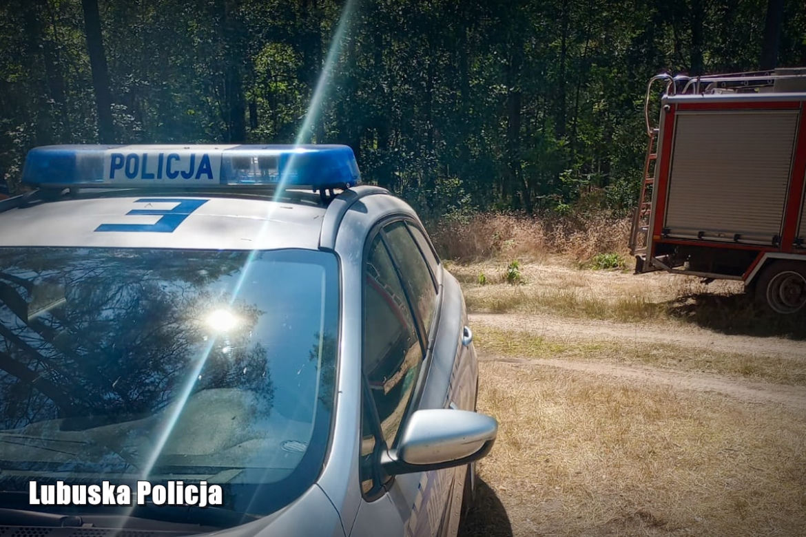 Pożar lasu pod Świebodzinem zdetonował 18 niewybuchów z okresu II wojny światowej