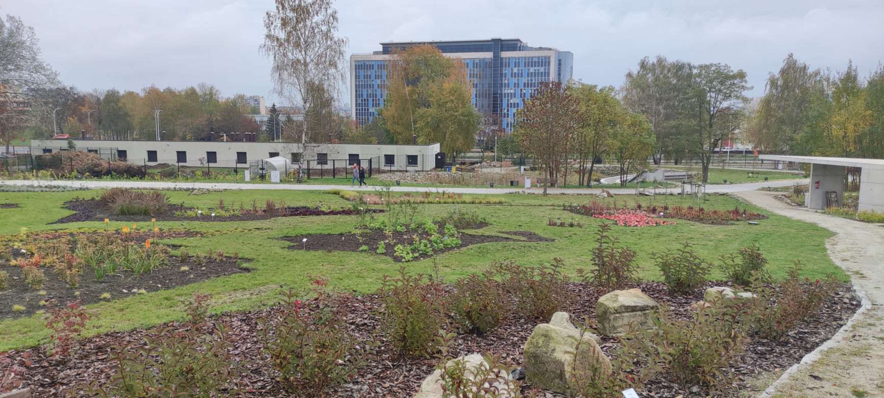 Rabaty w kształcie kontynentów w Ogrodzie Botanicznym w Kielcach