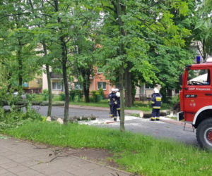 Burze z gradem w Podlaskiem. Powalone drzewo przygniotło samochód [ZDJĘCIA]