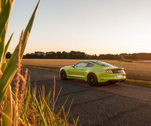 Ford Mustang GT 5.0 V8 55 Edition