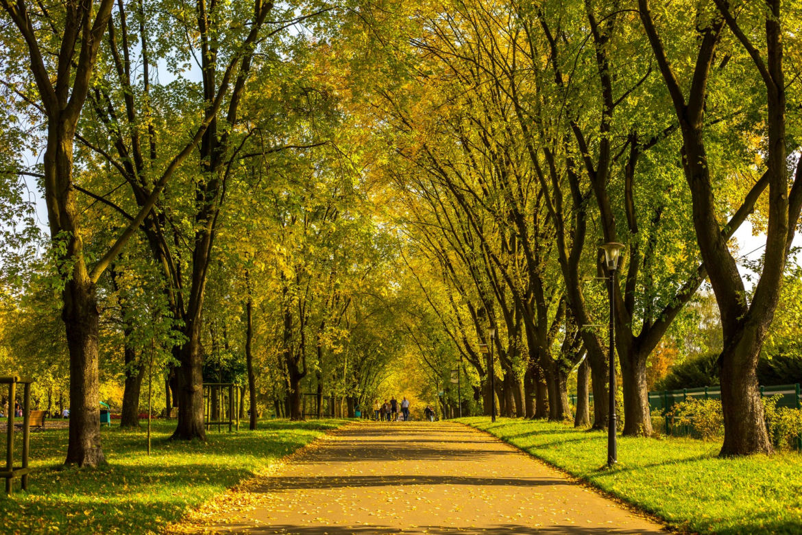 Park Śląski jesienią jest naprawdę piękny