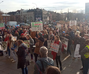Wielki protest w Krakowie. Strajkowali w obronie klimatu 