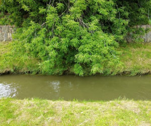 Sytuacja hydrologiczna w Tarnowie. Czy grozi nam powódź?